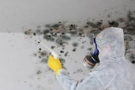 Best Emergency Mold Remediation  in Lumberton, MS